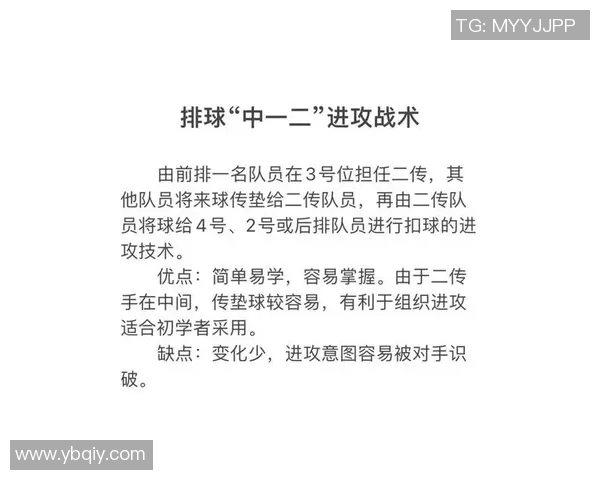 北京排球队灵活性对比分析揭示战术优势与发展潜力