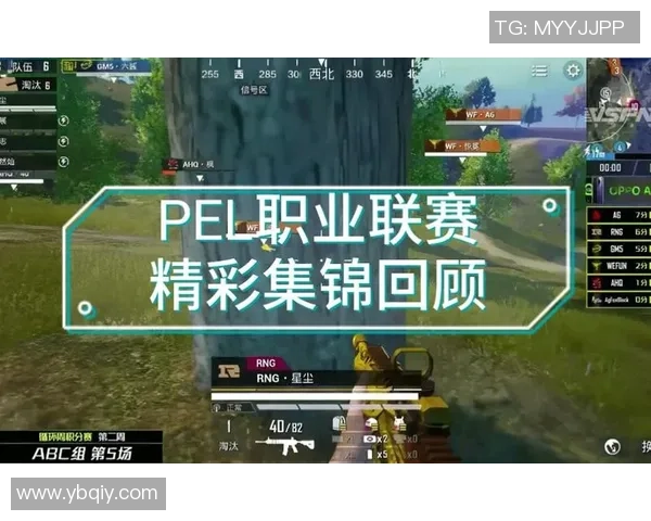 和平精英专题深入分析RNG战队的战术节奏与团队协作策略