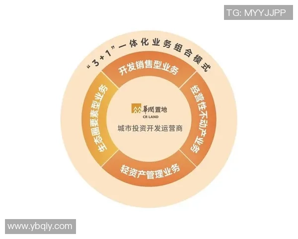 探索上海篮球队的运营模式与发展策略深度解析