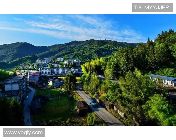 豪门足球风云基米西的崛起与挑战揭示职业生涯背后的奋斗与荣耀 豪门足球风云基米西的崛起与挑战揭示职业生涯背后的奋斗与荣耀